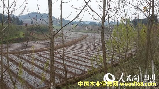 �Ĵ��ϲ��h��һ���������^����������ľ