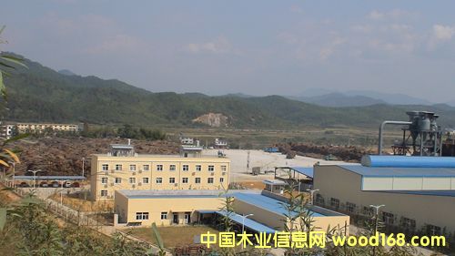 ���ɭ��ľ�I(y��)