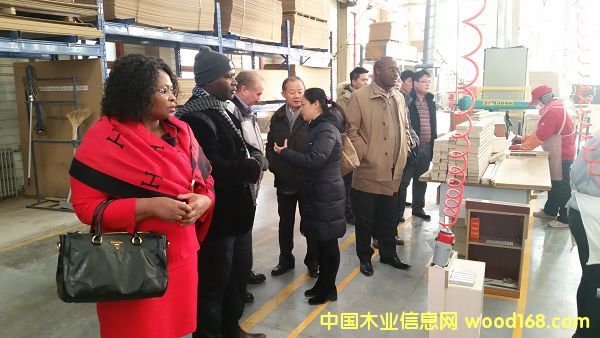 �Ї����R�c�ϷǇ�����ľ��˾������������