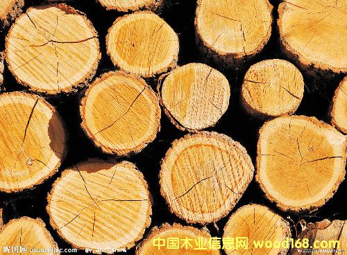 ����ľ�Ľ����Ј�(ch��ng)