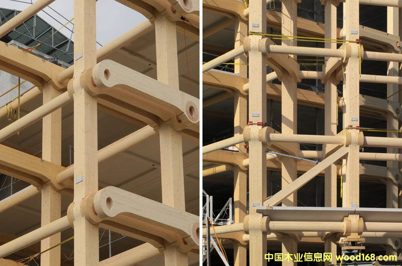 ��ʿ����ľ�Y(ji��)��(g��u)���