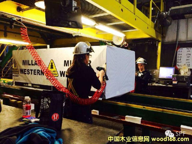 ����MILLAR WESTERN��SPF��ļӹ�