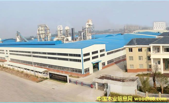 �V���A��ľ�I(y��)ͨ�^����(gu��)�������၆��CARB�J(r��n)�C