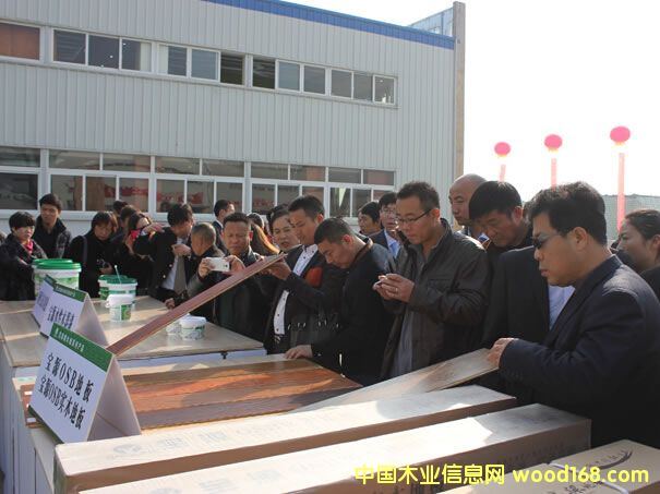 ��Դ��ľ���׌�ȫ����(j��ng)�N�̕�(hu��)�h�ں����G�T���_