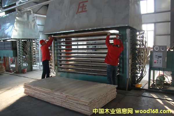 �����������P��ľ�I(y��)�����塢���B(t��i)��