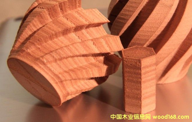 ľ��3D��ӡ������