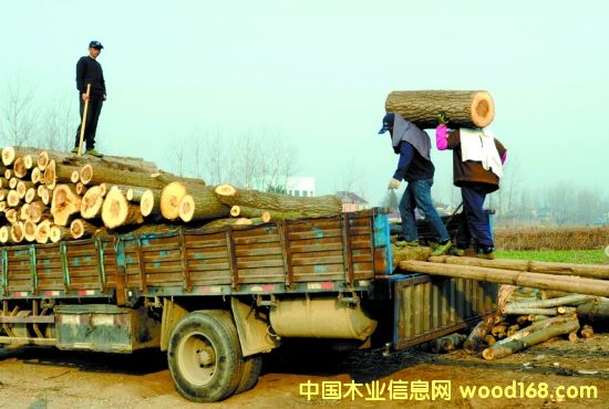 �����~�����������ԭľ���N�Ӵ�