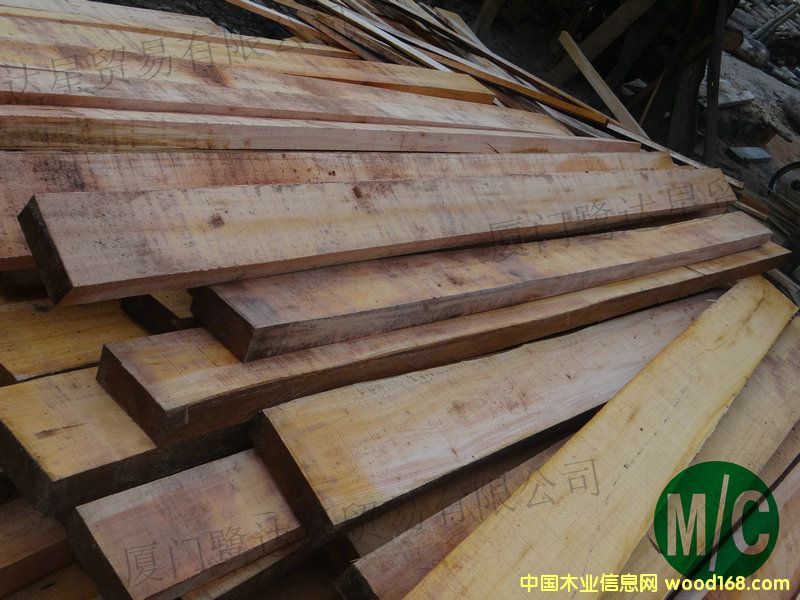 [��] ���������e�һ�о