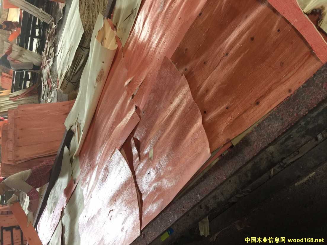 LVL��Ԕ��(x��)��B