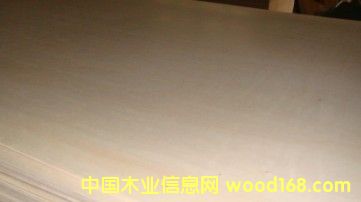 �ľ�ϰ��Ԕ��(x��)��B