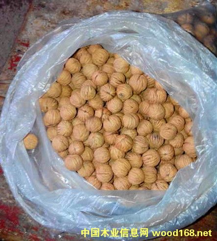 �c(di��n)���鿴����(gu��)���^���ҷŴ�DƬ