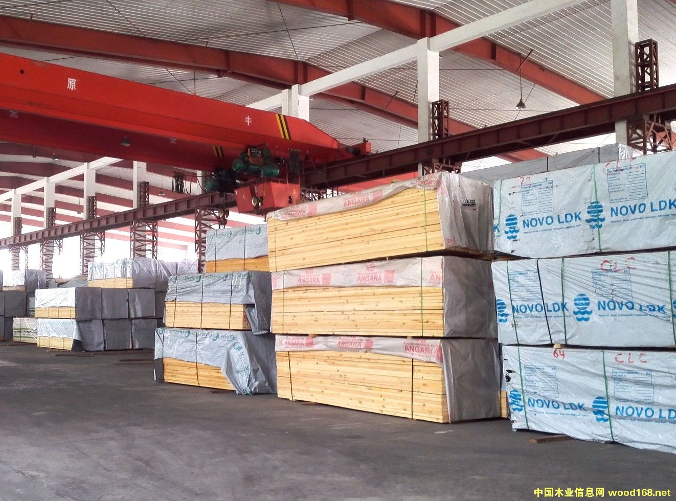 ���_˹���