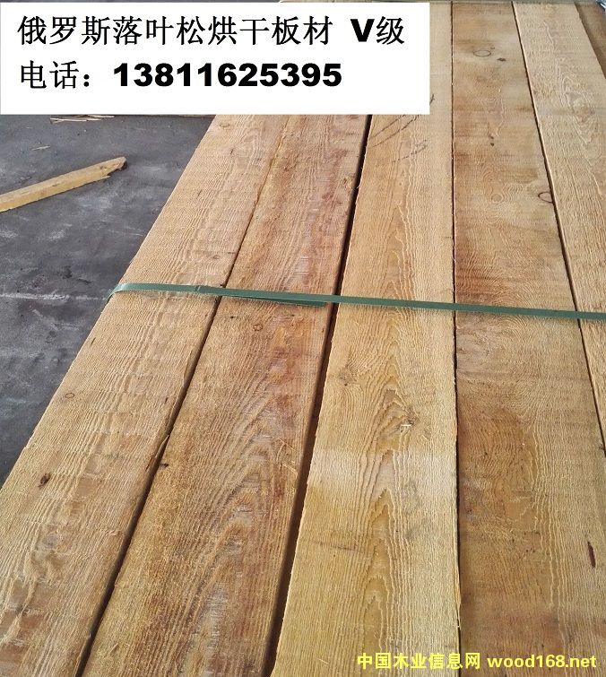 ���~�ɰ���