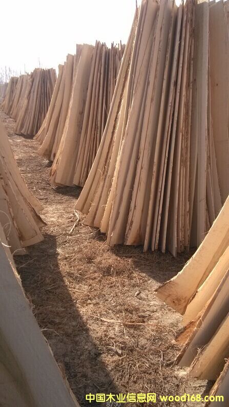 ��ľ��ƴ���Ԕ����B