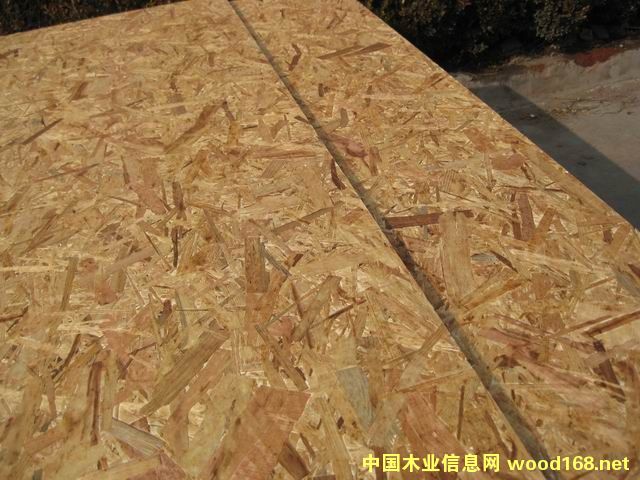 �M(j��n)�ښW�ɰ��Ԕ��(x��)��B