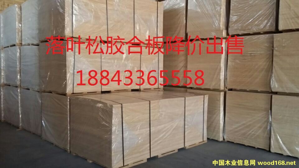 �b��Ԕ����B