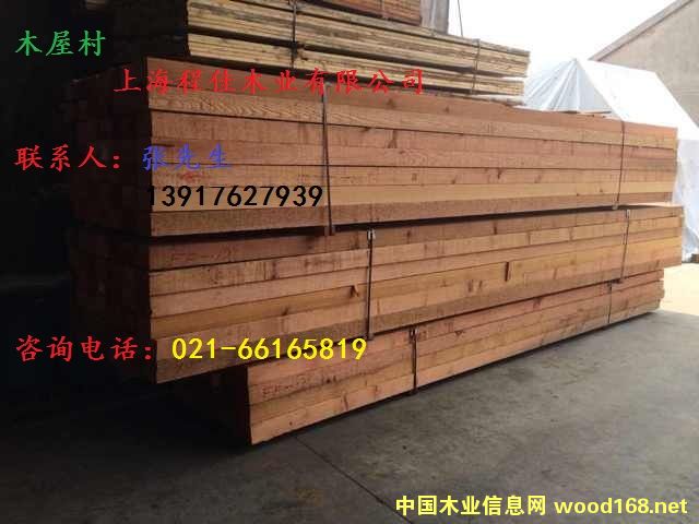 �tѩ�ɰ�ĵ�Ԕ����B