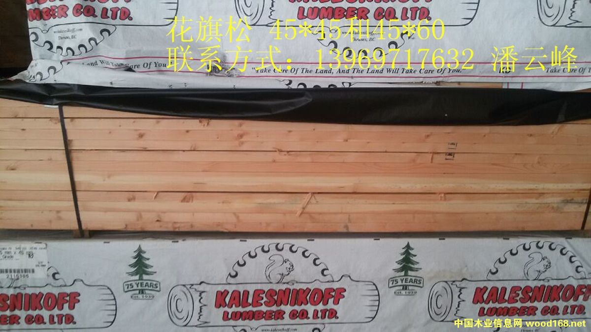 ������..��Ԕ��(x��)��B