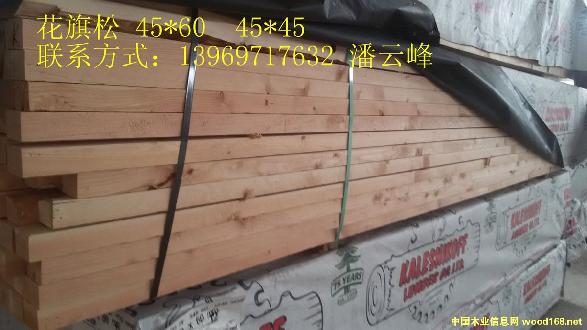 ������.��Ԕ��(x��)��B