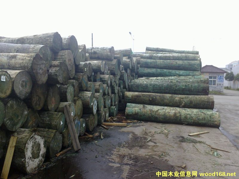 �����m�ɟo(w��)��(ji��)ԭľ