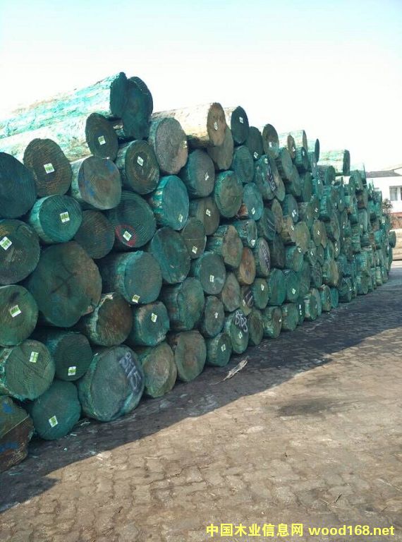 �����m�ɟo��(ji��)����ԭľ��Ԕ����B