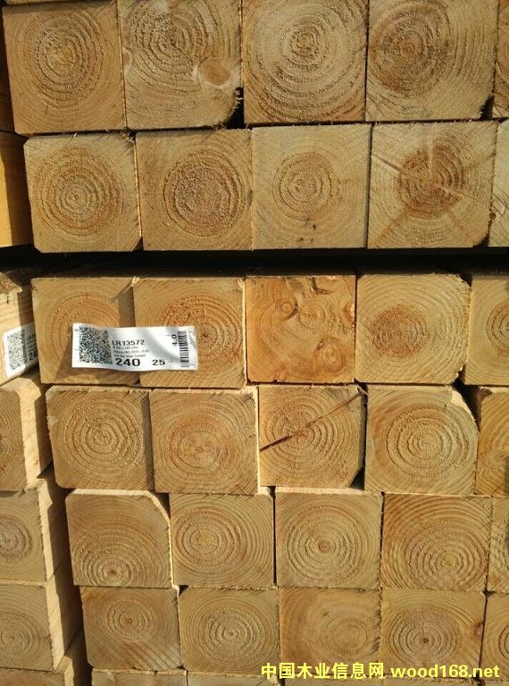 ݗ���ɴ�ľ��Ԕ����B