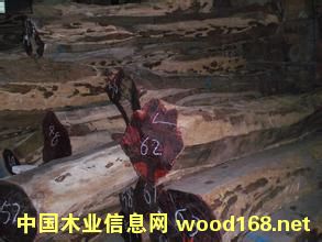 �ϓ�t��֦�M�ڵ��Ї��Ϻ���ɽ����Ҫ�k��ʲô���C���܈��P(gu��n)