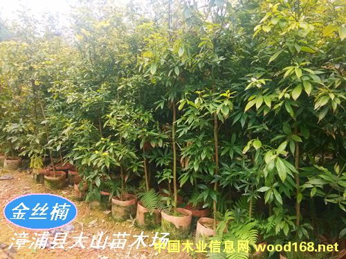 [��] С�~�E���