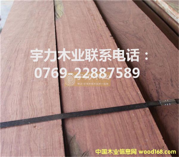 �ͻ���Ķ��Ƶ�Ԕ��(x��)��B