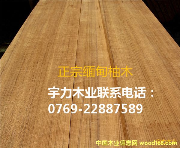 ������ľ��ĵ�Ԕ��(x��)��B