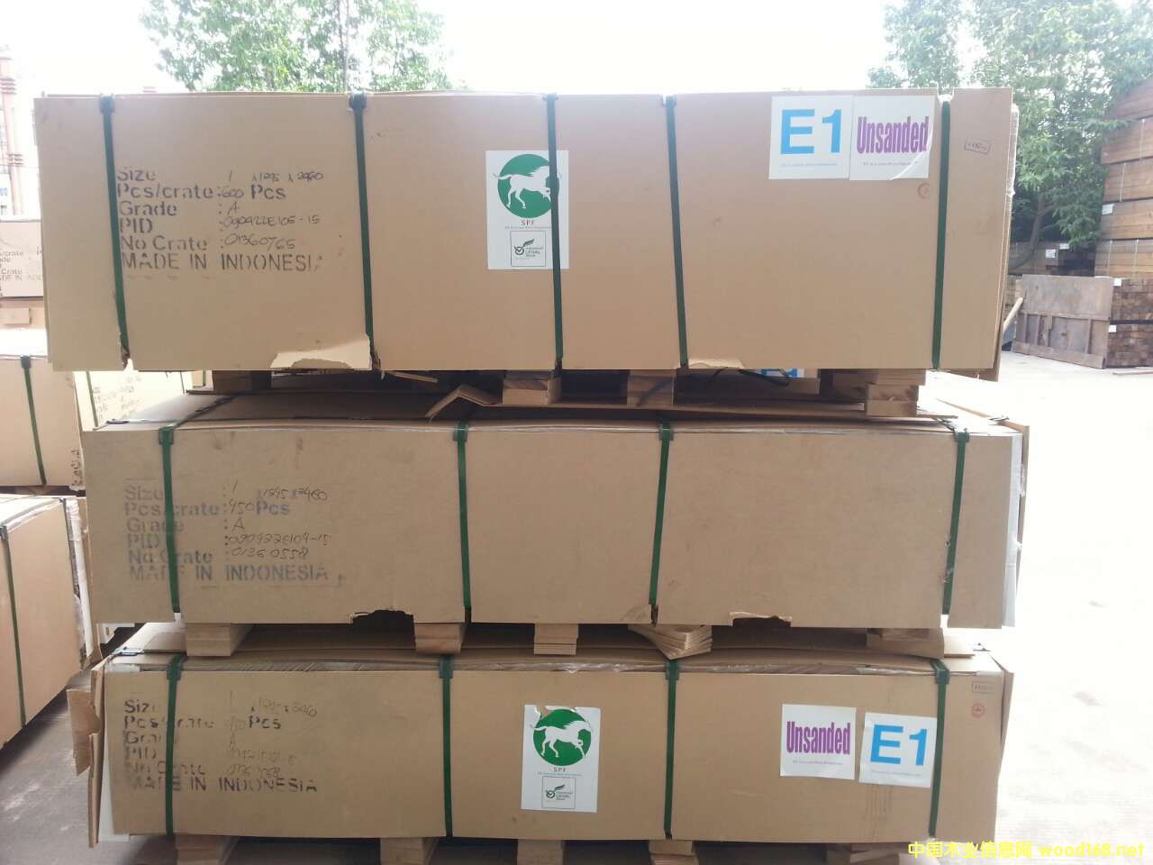 �M�����w���Ԕ��(x��)��B