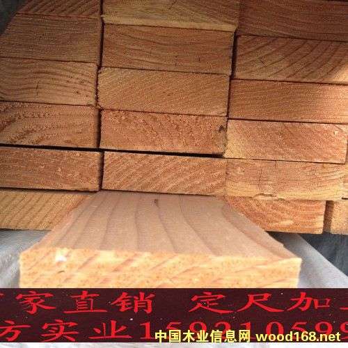 花旗松的詳細(xì)介紹