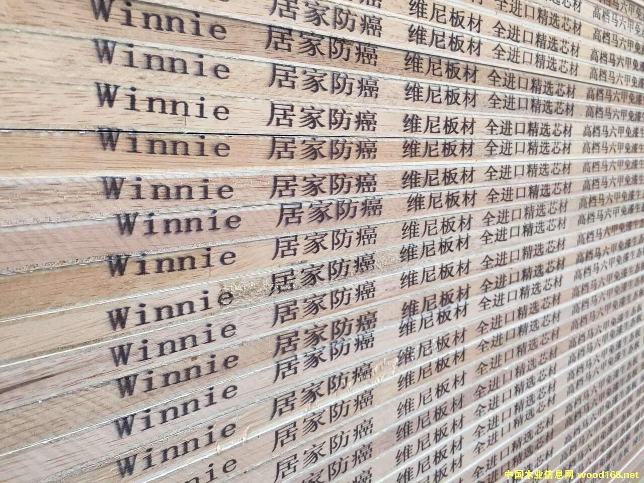 015��Ԕ��(x��)��B