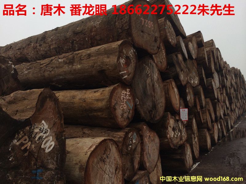 �����ۣ���ľ��