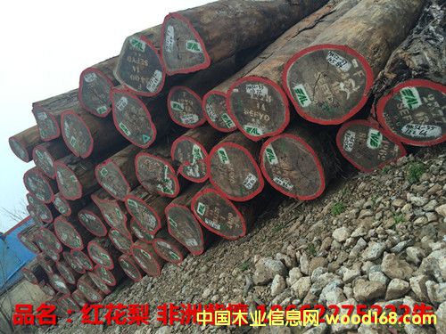 �t���棨������̴��