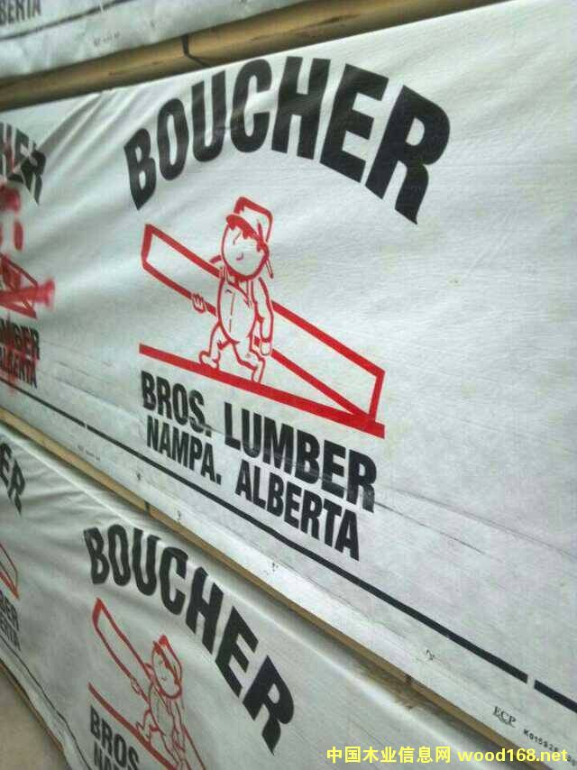 SPF��Ԕ����B