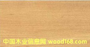 �����t�ܵ�Ԕ��(x��)��B