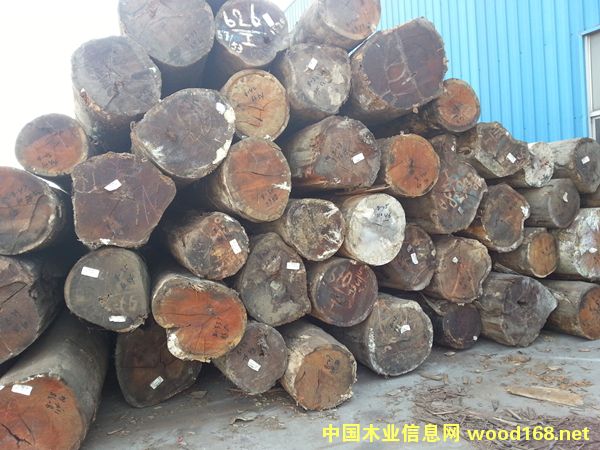 ��������ľ��Ԕ��(x��)��B