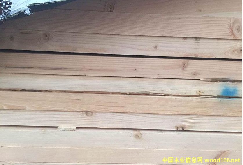 �����ɵ�Ԕ��(x��)��B