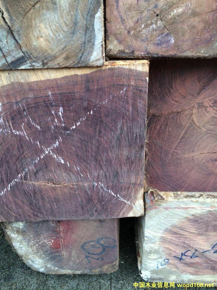 �ϓ뻨֦��Ԕ��(x��)��B