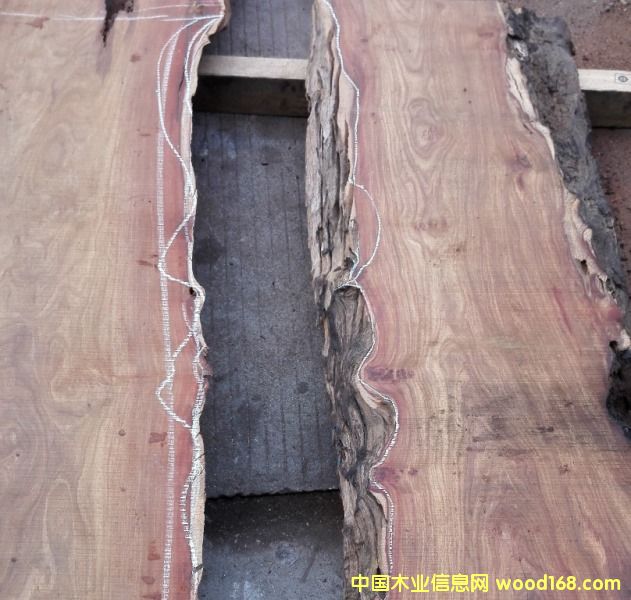 �����̴��Ԕ����B