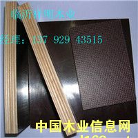 [��] �ɴγ��͗���о����ģ�������b�壬�Ҿ߰�