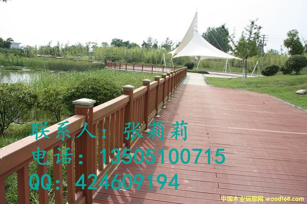 ��ľ�ذ��Ԕ��(x��)��B