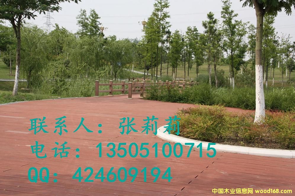 ��ľ�ذ��Ԕ��(x��)��B