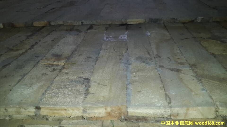 ��(x��)ľ��о��