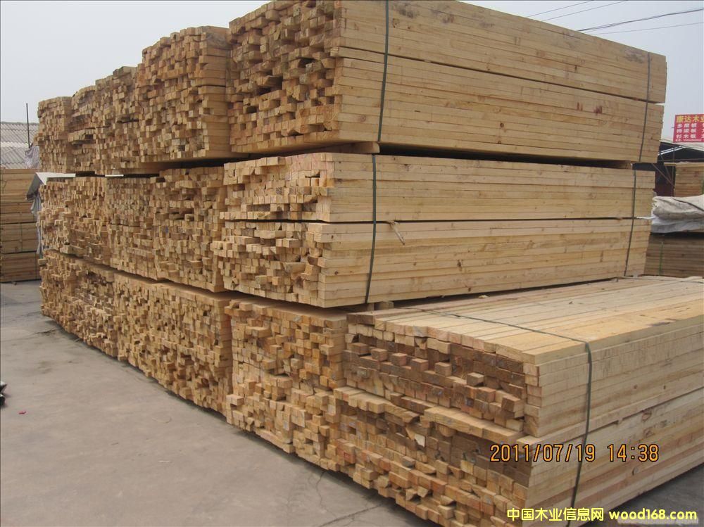 һ�����|(zh��)��ľ��Ԕ����B