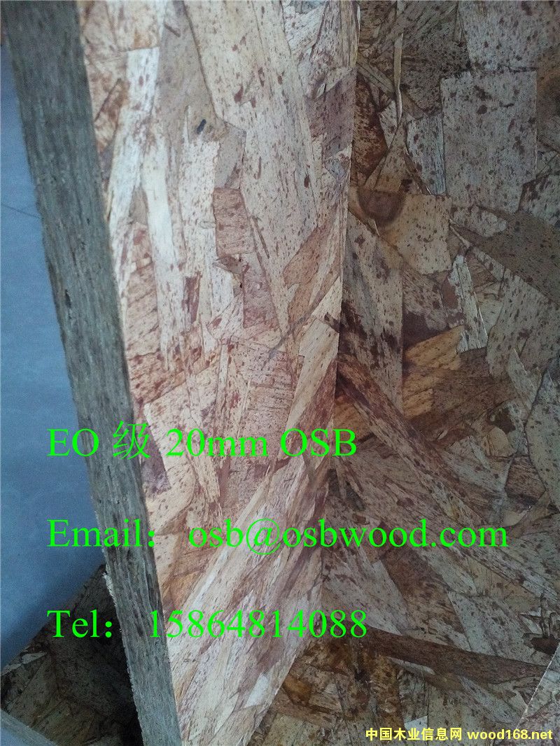 OSBľ�T���A�����r��