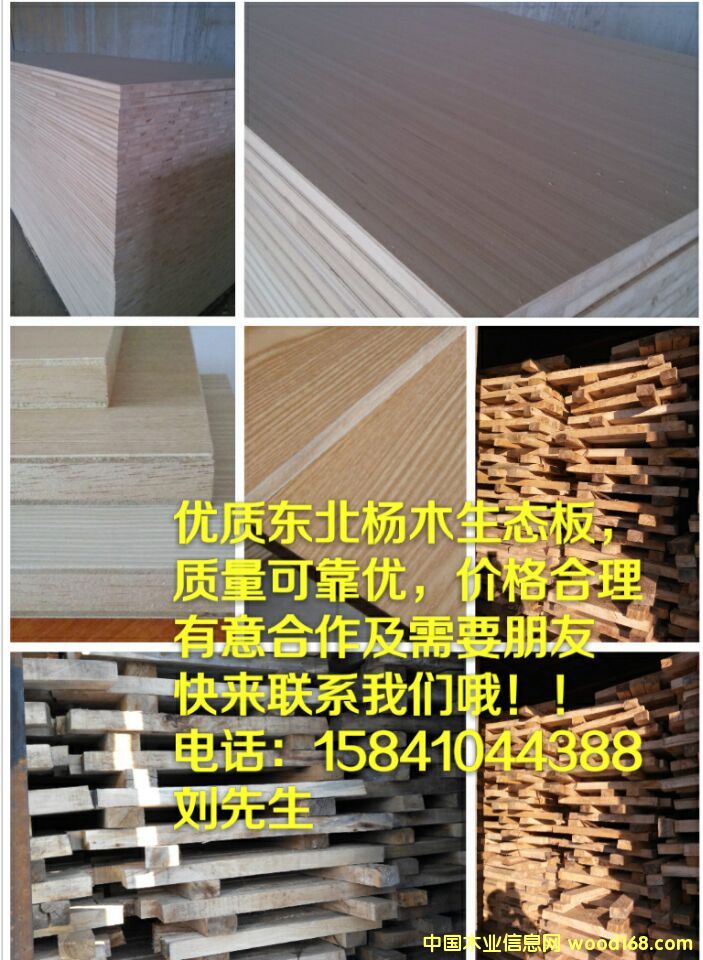 �|����ľ���B(t��i)���Ԕ����B