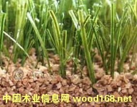 �����ƺ����w�� ܛľ��