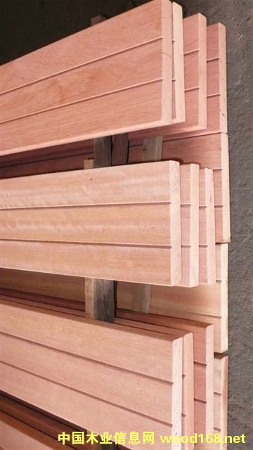 ɽ��ľ��Ԕ��(x��)��B